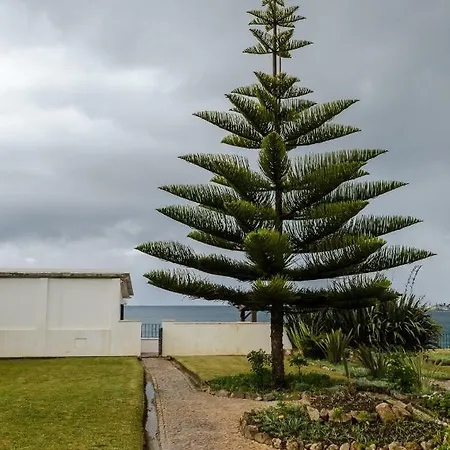 Casa Do Tamariz, Xix Century House